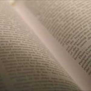 Meet your Posher, Gladys